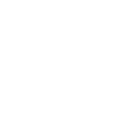 Bezel