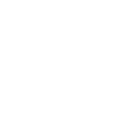 Custom Reports